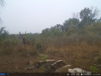 Frio Canyon Real Estate