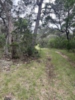 Frio Canyon Real Estate - Martin Martinez