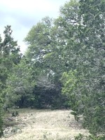 Frio Canyon Real Estate - Martin Martinez