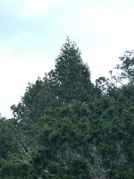 Frio Canyon Real Estate - Martin Martinez