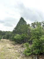 Frio Canyon Real Estate - Martin Martinez