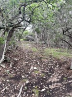 Frio Canyon Real Estate - Martin Martinez