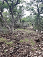 Frio Canyon Real Estate - Martin Martinez