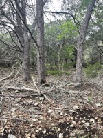 Frio Canyon Real Estate - Martin Martinez