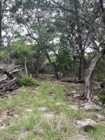 Frio Canyon Real Estate - Martin Martinez