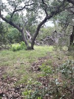 Frio Canyon Real Estate - Martin Martinez