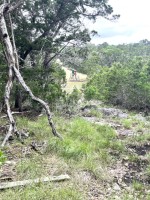 Frio Canyon Real Estate - Martin Martinez