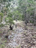 Frio Canyon Real Estate - Martin Martinez