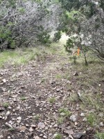 Frio Canyon Real Estate - Martin Martinez