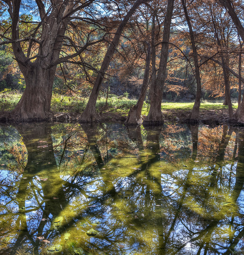 Martin Martinez - Frio Canyon Real Estate