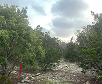 Texas Hill Country and Frio Canyon Properties with Live Water