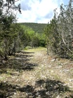 Frio Canyon Real Estate - Martin Martinez