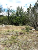 Frio Canyon Real Estate - Martin Martinez