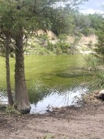Frio Canyon Real Estate - Martin Martinez