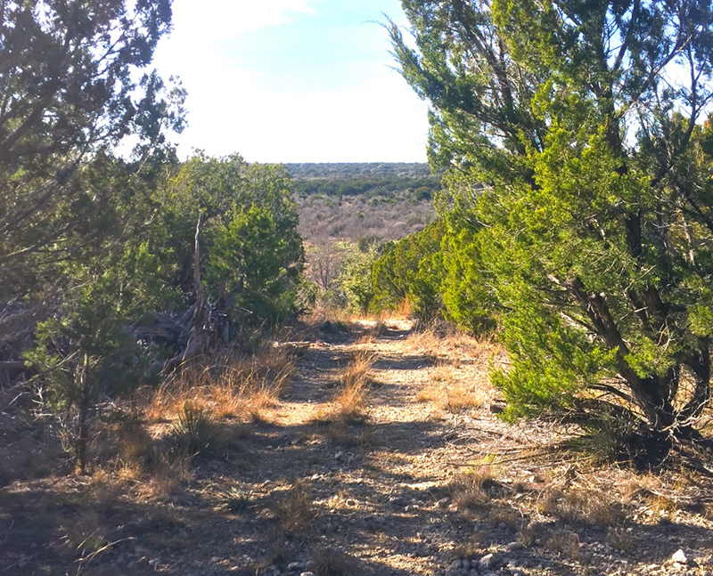 Martin Martinez - Frio Canyon Real Estate