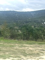 Frio Canyon Real Estate - Martin Martinez