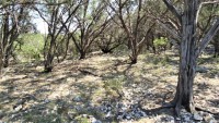 Frio Canyon Real Estate - Martin Martinez