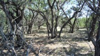 Frio Canyon Real Estate - Martin Martinez