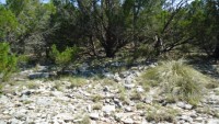 Frio Canyon Real Estate - Martin Martinez