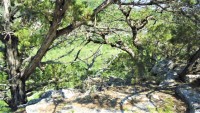 Frio Canyon Real Estate - Martin Martinez