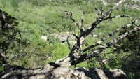 Frio Canyon Real Estate - Martin Martinez