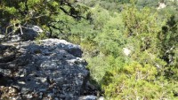 Frio Canyon Real Estate - Martin Martinez