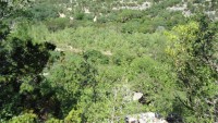 Frio Canyon Real Estate - Martin Martinez