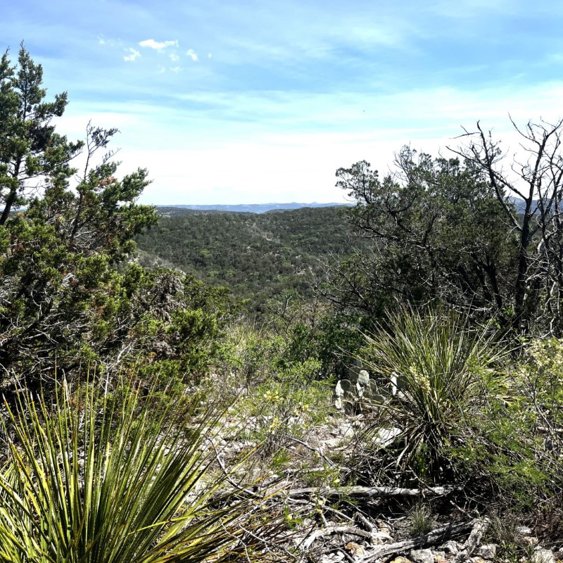 Martin Martinez - Frio Canyon Real Estate