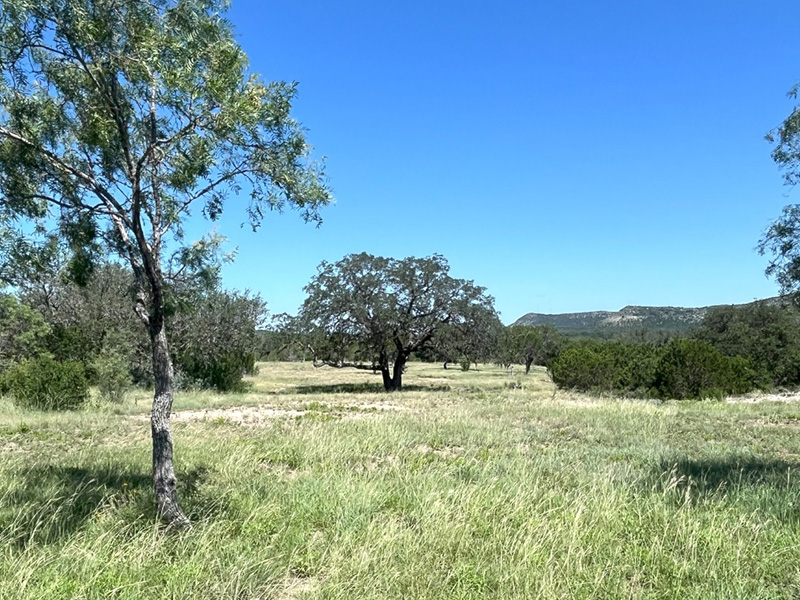 Martin Martinez - Frio Canyon Real Estate