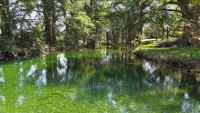 Frio Canyon Real Estate - Martin Martinez