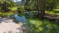 Frio Canyon Real Estate - Martin Martinez