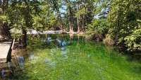 Frio Canyon Real Estate - Martin Martinez