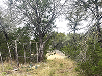 Texas Hill Country and Frio Canyon Properties with Live Water