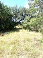 Frio Canyon Real Estate - Martin Martinez