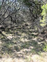 Frio Canyon Real Estate - Martin Martinez