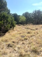 Frio Canyon Real Estate - Martin Martinez