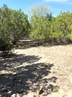 Frio Canyon Real Estate - Martin Martinez