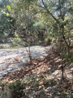 Frio Canyon Real Estate - Martin Martinez