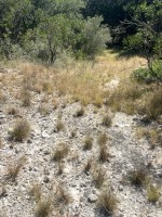 Frio Canyon Real Estate - Martin Martinez