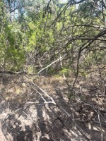 Frio Canyon Real Estate - Martin Martinez