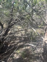 Frio Canyon Real Estate - Martin Martinez