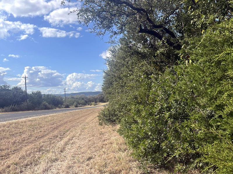 Martin Martinez - Frio Canyon Real Estate