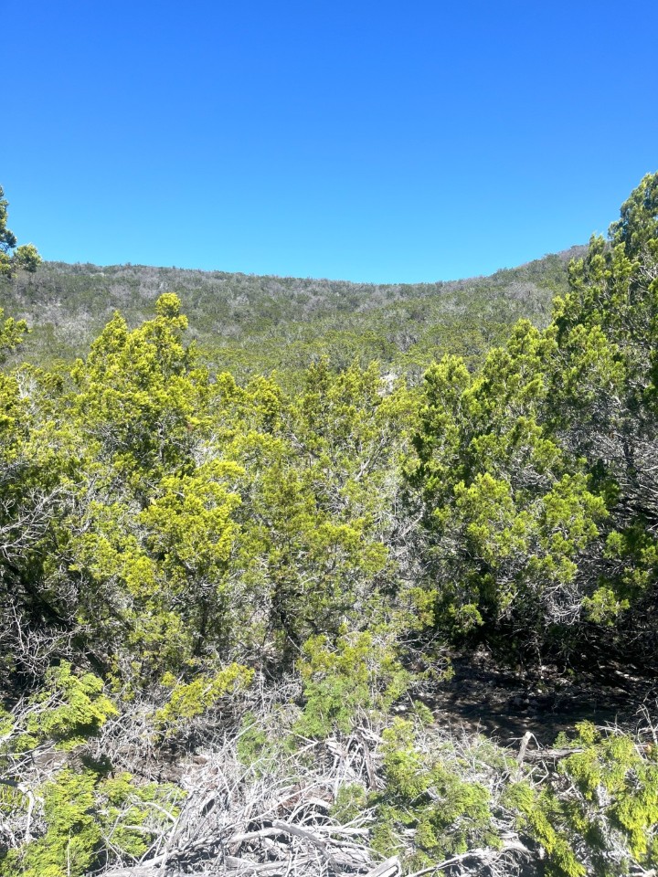 Martin Martinez - Frio Canyon Real Estate