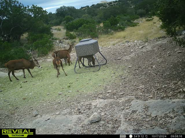 Martin Martinez - Frio Canyon Real Estate