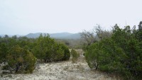 Texas Hill Country and Frio Canyon Properties with Live Water
