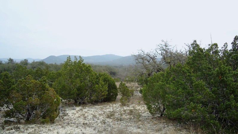 Martin Martinez - Frio Canyon Real Estate