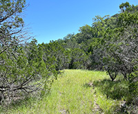 Texas Hill Country and Frio Canyon Properties with Live Water