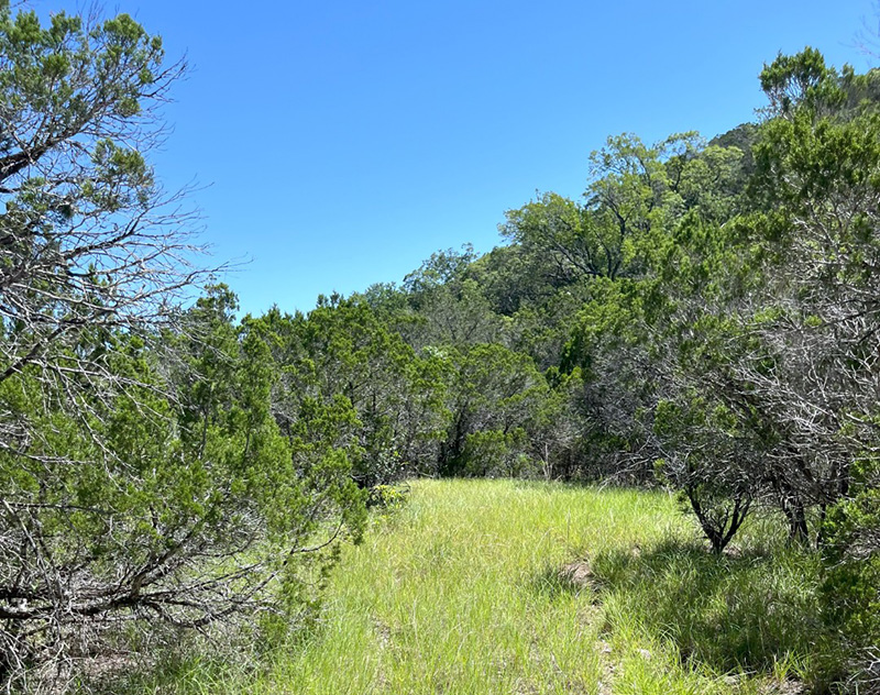 Martin Martinez - Frio Canyon Real Estate