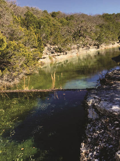 Shawn Gray - Frio Canyon Real Estate