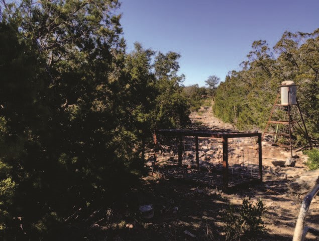 Shawn Gray - Frio Canyon Real Estate